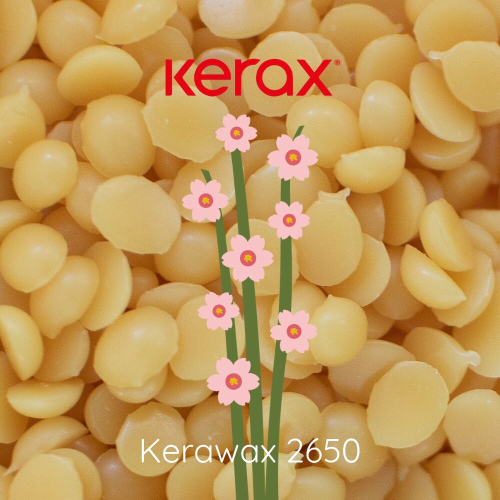 Candelilla wax | Candle Maker Source